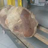 Il pane di Laterza con la tipica croce sopra la crosta, incisa per non farlo deformare 